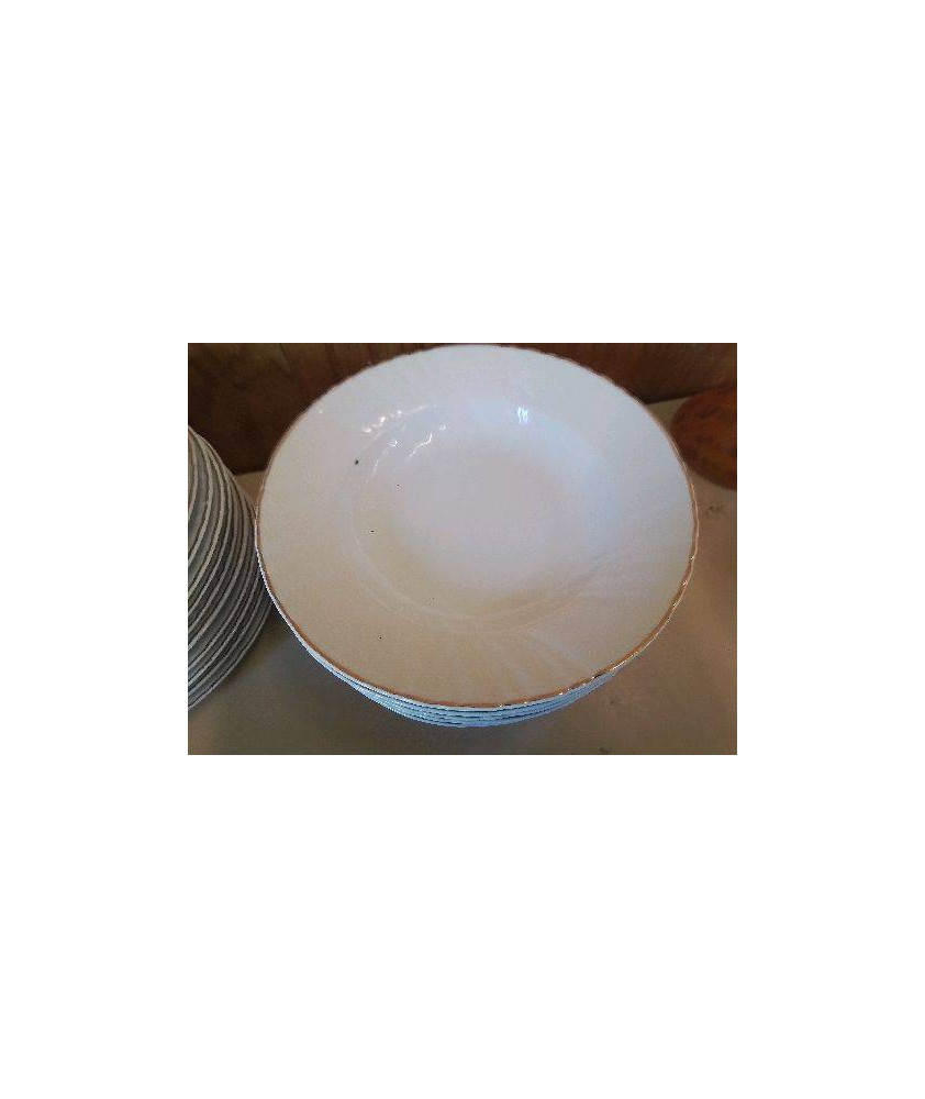 LOT DE 6 ASSIETTES EN PORCELAINE 