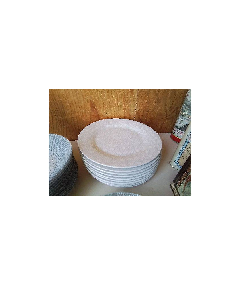 ASSIETTE PLATES GRISE AVEC PETIT MOTIF