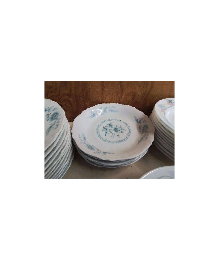 LOT DE 6 ASSIETTES EN PORCELAINE MOTIF FLORAL BLEU 
