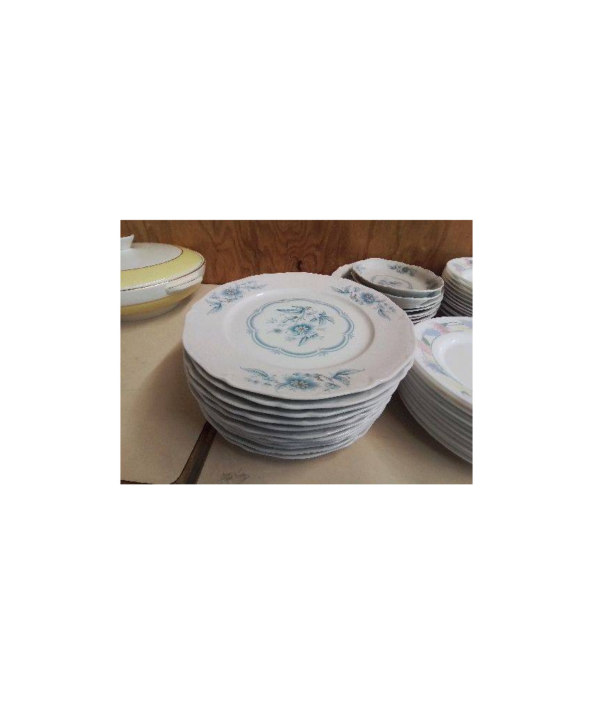 ASSIETTE EN PORCELAINE MOTIF FLORAL BLEU