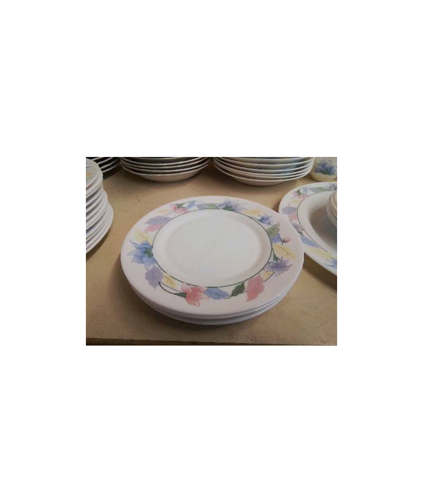 LOT DE 6 ASSIETTES À DESSERT ARCOPAL MOTIF FLORAL 