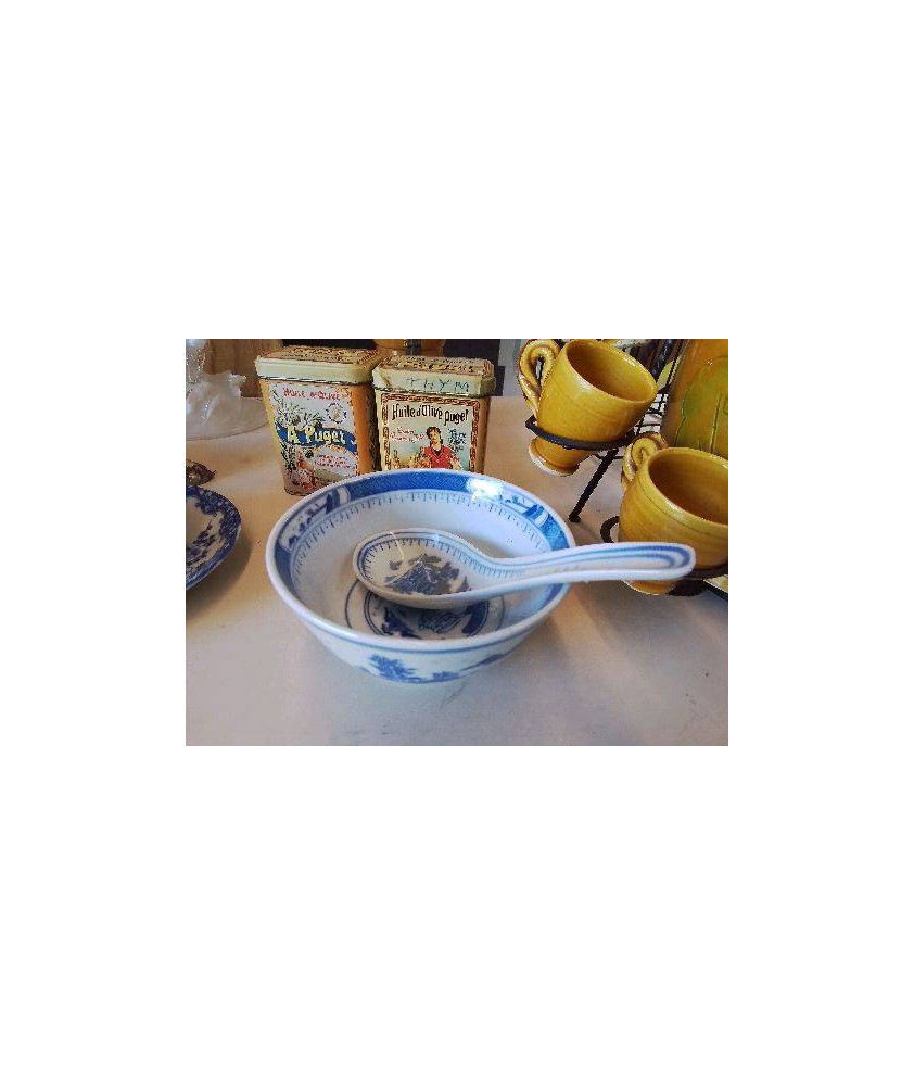 PETIT BOL ASIATIQUE AVEC CUILLÈRE 