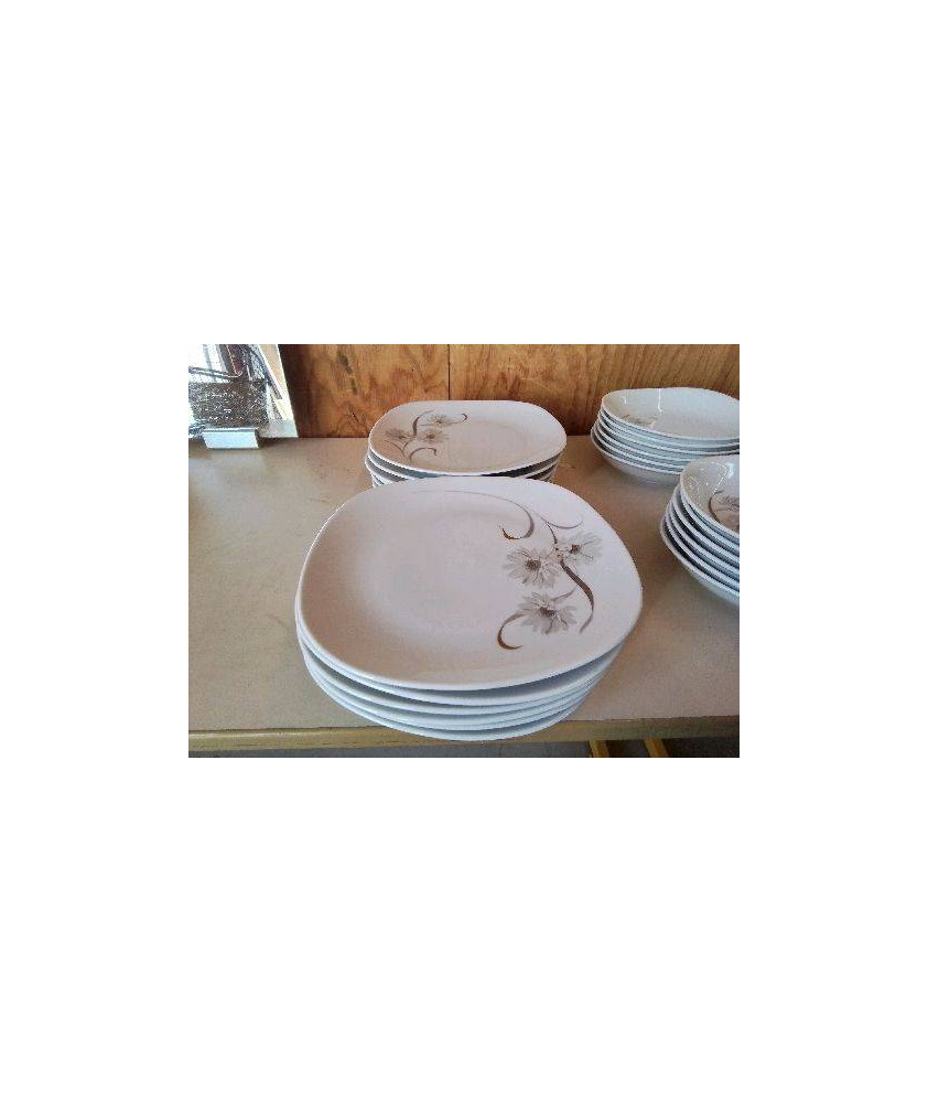 LOT DE 6 ASSIETTES PLATES BLANCHES MOTIF FLORAL PORCELAINE 