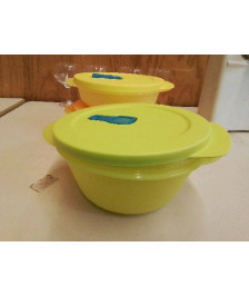 BOITE TUPPERWARE 