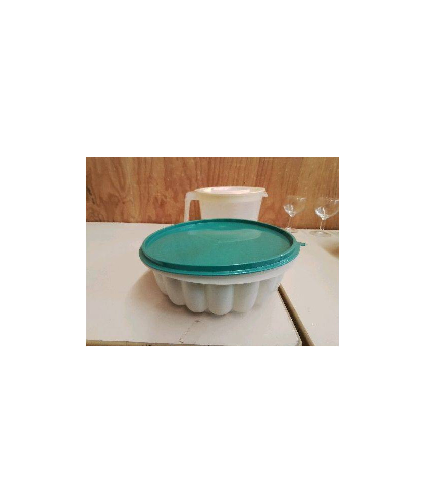 MOULE À CHARLOTTE TUPPERWARE 